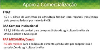 Apoio a Comercialização
PNAE
R$ 2,7 bilhões disponível para compras diretas da agricultura familiar da
União, Estados e Municípios
R$ 1,1 bilhão de alimentos da agricultura familiar, com recursos transferidos
pelo governo federal por meio do FNDE
PAA Compra Institucional
PAA MDS/MDA/Conab
R$ 500 milhões para a compra de alimentos produzidos por cooperativas e
associações da agricultura familiar
 