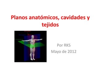 Planos anatómicos, cavidades y
            tejidos


                 Por RKS
               Mayo de 2012
 