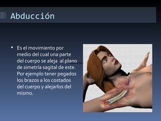 Abducción


 Es el movimiento por
  medio del cual una parte
  del cuerpo se aleja al plano
                          Shortcut to Track01.cda.lnk

  de simetría sagital de este.
  Por ejemplo tener pegados
  los brazos a los costados
  del cuerpo y alejarlos del
  mismo.
 