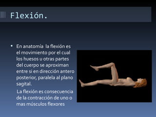 Flexión.


 En anatomía la flexión es
  el movimiento por el cual
  los huesos u otras partes
  del cuerpo se aproximan
  entre si en dirección antero
  posterior, paralela al plano
  sagital.
  La flexión es consecuencia
  de la contracción de uno o
  mas músculos flexores
 