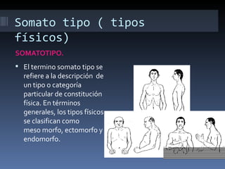 Somato tipo ( tipos
físicos)
SOMATOTIPO.
 El termino somato tipo se
  refiere a la descripción de
  un tipo o categoría
  particular de constitución
  física. En términos
  generales, los tipos físicos
  se clasifican como
  meso morfo, ectomorfo y
  endomorfo.
 
