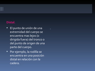 Distal.
 El punto de unión de una       .
  extremidad del cuerpo se
  encuentra mas lejos (o
  dirigida fuera) del tronco o
  del punto de origen de una
  parte del cuerpo.
 Por ejemplo, la rodilla se
  encuentra en una posición
  distal en relación con la
  cadera.
 