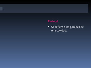 Parietal
 Se refiera a las paredes de
  una cavidad.
 