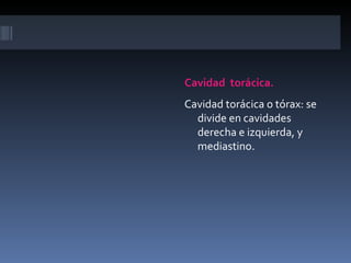 Cavidad torácica.
Cavidad torácica o tórax: se
  divide en cavidades
  derecha e izquierda, y
  mediastino.
 
