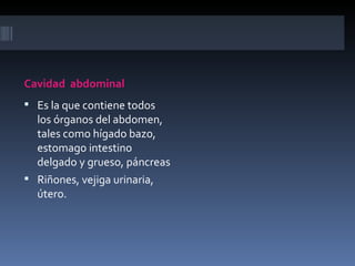 Cavidad abdominal
 Es la que contiene todos
  los órganos del abdomen,
  tales como hígado bazo,
  estomago intestino
  delgado y grueso, páncreas
 Riñones, vejiga urinaria,
  útero.
 