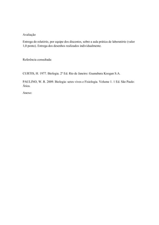 Avaliação

Entrega do relatório, por equipe dos discentes, sobre a aula prática de laboratório (valor
1,0 ponto). Entrega dos desenhos realizados individualmente.



Referência consultada:



CURTIS, H. 1977. Biologia. 2º Ed. Rio de Janeiro: Guanabara Koogan S.A.

PAULINO, W. R. 2009. Biologia: seres vivos e Fisiologia. Volume 1. 1 Ed. São Paulo:
Ática.

Anexo:
 