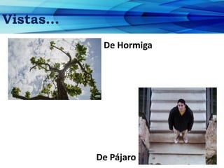 Vistas…
De Hormiga
De Pájaro
 