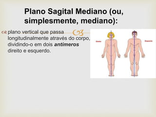  plano vertical que passa
longitudinalmente através do corpo,
dividindo-o em dois antímeros
direito e esquerdo.
Plano Sagital Mediano (ou,
simplesmente, mediano):
 
