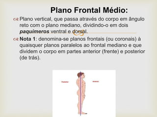 
 Plano vertical, que passa através do corpo em ângulo
reto com o plano mediano, dividindo-o em dois
paquímeros ventral e dorsal.
 Nota 1: denomina-se planos frontais (ou coronais) à
quaisquer planos paralelos ao frontal mediano e que
dividem o corpo em partes anterior (frente) e posterior
(de trás).
Plano Frontal Médio:
 