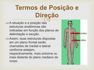  A situação e a posição das
estruturas anatômicas são
indicadas em função dos planos de
delimitação e secção.
 Assim, duas estruturas dispostas
em um plano frontal serão
chamadas de medial e lateral
conforme estejam,
respectivamente, mais próxima ou
mais distante do plano mediano do
corpo.
Termos de Posição e
Direção
 