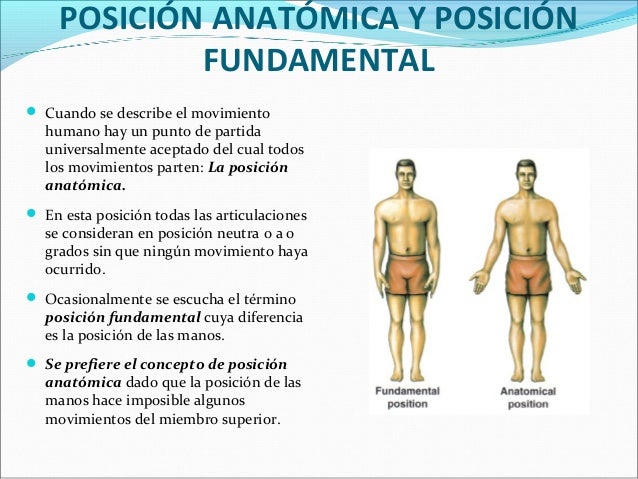 Planos del cuerpo