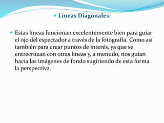 Líneas Diagonales:
 Estas líneas funcionan excelentemente bien para guiar
el ojo del espectador a través de la fotografía. Como así
también para crear puntos de interés, ya que se
entrecruzan con otras líneas y, a menudo, nos guían
hacia las imágenes de fondo sugiriendo de esta forma
la perspectiva.
 