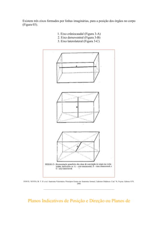 Existem três eixos formados por linhas imaginárias, para a posição dos órgãos no corpo
(Figura 03).
1. Eixo crâniocaudal (Figura 3-A)
2. Eixo dorsoventral (Figura 3-B)
3. Eixo laterolateral (Figura 3-C)
FONTE: NEVES, M. T. D. et al. Anatomia Veterinária: Princípios Gerais em Anatomia Animal, Cadernos Didáticos. Cod. 76, Viçosa: Editora UFV,
2000.
____________________________________________________________________________
Planos Indicativos de Posição e Direção ou Planos de
 