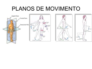 PLANOS DE MOVIMENTO  