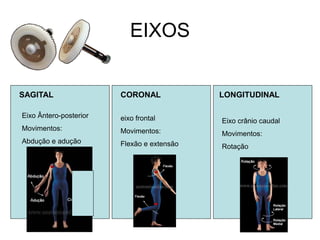 EIXOS 
SAGITAL 
CORONAL 
LONGITUDINAL 
Eixo Ântero-posterior 
Movimentos: 
Abdução e adução 
eixo frontal Movimentos: Flexão e extensão 
Eixo crânio caudal 
Movimentos: 
Rotação  