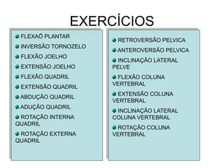 EXERCÍCIOS FLEXAÕ PLANTAR INVERSÃO TORNOZELO FLEXÃO JOELHO EXTENSÃO JOELHO FLEXÃO QUADRIL EXTENSÃO QUADRIL ABDUÇÃO QUADRIL ADUÇÃO QUADRIL ROTAÇÃO INTERNA QUADRIL ROTAÇÃO EXTERNA QUADRIL RETROVERSÃO PELVICA ANTEROVERSÃO PELVICA INCLINAÇÃO LATERAL PELVE FLEXÃO COLUNA VERTEBRAL EXTENSÃO COLUNA VERTEBRAL INCLINAÇÃO LATERAL COLUNA VERTEBRAL ROTAÇÃO COLUNA VERTEBRAL  