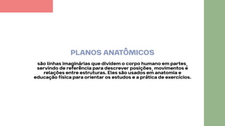 Aula Custom Software Planos e Eixos Anatômicos - AULA INTRODUTÓRIA | PDF