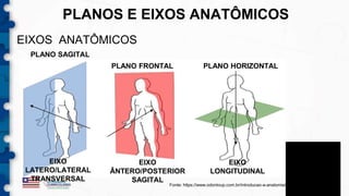 PLANOS E EIXOS DO CORPO HUMANO.educacao física pptx | PPTX
