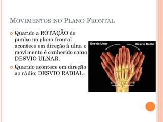 MOVIMENTOS NO PLANO FRONTAL
 Quando a ROTAÇÃO do
punho no plano frontal
acontece em direção à ulna o
movimento é conhecido como
DESVIO ULNAR.
 Quando acontece em direção
ao rádio: DESVIO RADIAL.
 