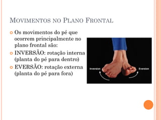 MOVIMENTOS NO PLANO FRONTAL
 Os movimentos do pé que
ocorrem principalmente no
plano frontal são:
 INVERSÃO: rotação interna
(planta do pé para dentro)
 EVERSÃO: rotação externa
(planta do pé para fora)
 