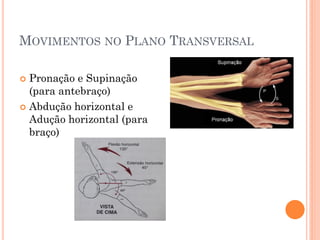 MOVIMENTOS NO PLANO TRANSVERSAL
 Pronação e Supinação
(para antebraço)
 Abdução horizontal e
Adução horizontal (para
braço)
 