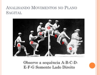 ANALISANDO MOVIMENTOS NO PLANO
SAGITAL
Observe a sequência A-B-C-D-
E-F-G Somente Lado Direito
 