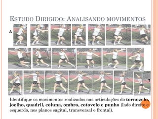 ESTUDO DIRIGIDO: ANALISANDO MOVIMENTOS
Identifique os movimentos realizados nas articulações do tornozelo,
joelho, quadril, coluna, ombro, cotovelo e punho (lado direito e
esquerdo, nos planos sagital, transversal e frontal).
 
