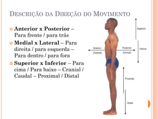 DESCRIÇÃO DA DIREÇÃO DO MOVIMENTO
 Anterior x Posterior –
Para frente / para trás
 Medial x Lateral – Para
direita / para esquerda –
Para dentro / para fora
 Superior x Inferior – Para
cima / Para baixo – Cranial /
Caudal – Proximal / Distal
 