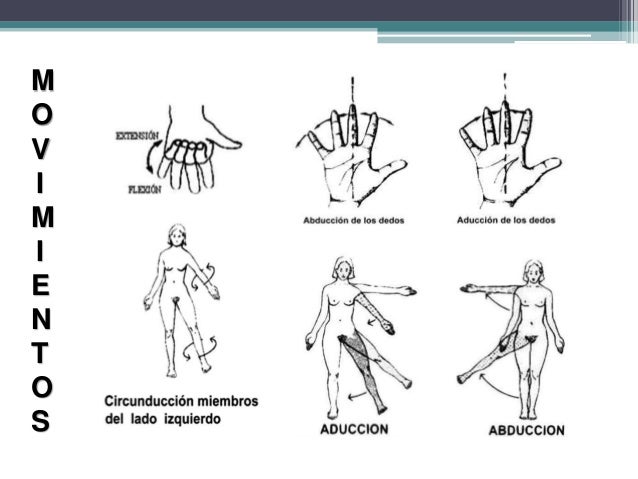 Ejes planos y movimientos corporales pdf