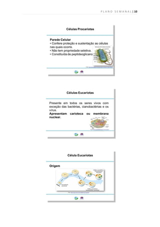 P L A N O S E M A N A L | 10
 