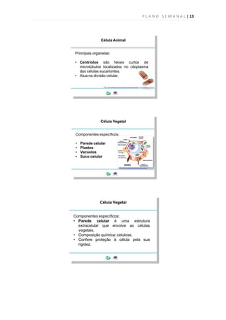 P L A N O S E M A N A L | 13
 