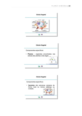 P L A N O S E M A N A L | 14
 