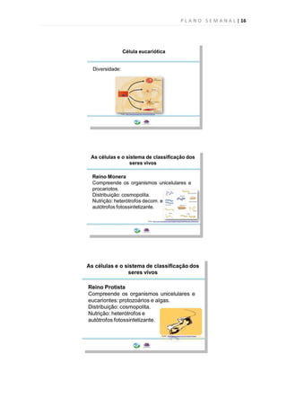 P L A N O S E M A N A L | 16
 