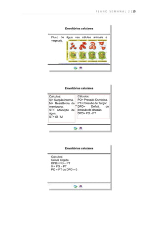 P L A N O S E M A N A L 2 | 10
 