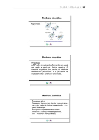 P L A N O S E M A N A L 2 | 12
 