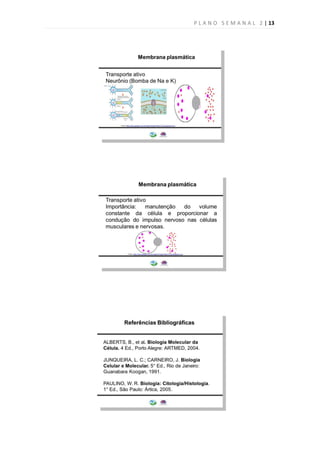 P L A N O S E M A N A L 2 | 13
 