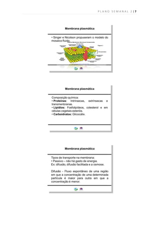 PLANO SEMANAL 2 |7
 