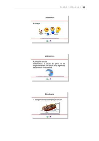 P L A N O S E M A N A L 3 | 10
 