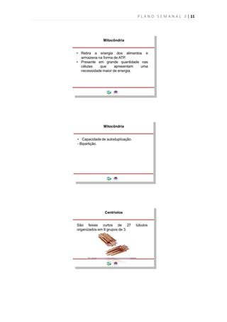 P L A N O S E M A N A L 3 | 11
 