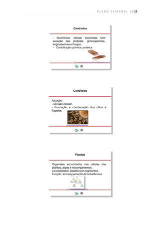 P L A N O S E M A N A L 3 | 12
 