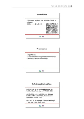 P L A N O S E M A N A L 3 | 15
 