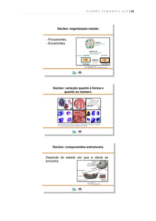 P L A N O S S E M A N A I S 4 e 5 | 10
 