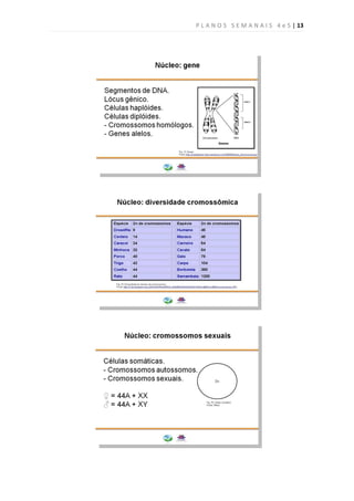 P L A N O S S E M A N A I S 4 e 5 | 13
 
