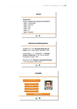 P L A N O S S E M A N A I S 4 e 5 | 15
 