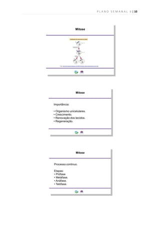 P L A N O S E M A N A L 6 | 10
 