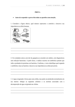 PLANO SEMANAL 6|4



                                        PROVA


    Antes de responder a prova leia todas as questões com atenção.



1. Considere a figura abaixo, qual número representa o centríolo e descreva sua
importância na célula humana.




______________________________________________________________________
______________________________________________________________________
______________________________________________________________________


2. Um estudante estava com dor de garganta ao consultar um médico, este diagnosticou
uma infecção bacteriana. A partir disso, o médico receitou um antibiótico potente que
inibe a produção de proteínas em bactérias. Conforme, o texto identifique qual organela
o antibiótico atua na bactéria e descreva sua importância na célula procariota.
______________________________________________________________________
______________________________________________________________________
______________________________________________________________________


3. A água oxigenada é tóxica para uma célula, mas pode ser produzida normalmente em
seu interior. Indique as organelas celulares e as enzimas associadas com a
decomposição da água oxigenada nas células.
______________________________________________________________________
______________________________________________________________________
______________________________________________________________________
 