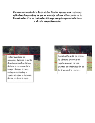 Como consecuencia de la Regla de los Tercios aparece una regla muy
aplicada en los paisajes y es que se aconseja colocar el horizonte en la
línea situada a 1/3 o en la situada a 2/3, según se quiera potenciar la tierra
o el cielo respectivamente.
En la mayoría de las
máquinas digitales el punto
de enfoque suele estar por
defecto en el centro de la
imagen. Este es el caso;
enfoque al caballo y el
sujeto principal lo dejamos
donde no debería estar.
La solución está en mover
la cámara y colocar el
sujeto en uno de los
puntos de intersección de
la línea de los tercios.
 