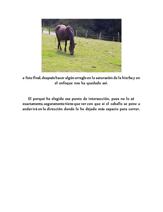 a foto final, después hacer algún arreglo en la saturación de la hierba y en
el enfoque nos ha quedado así.
El porqué he elegido ese punto de intersección, pues no lo sé
exactamente, seguramente tiene que ver con que si el caballo se pone a
andar irá en la dirección donde le he dejado más espacio para correr.
 