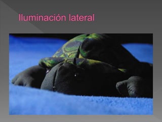 Planos fotográficos