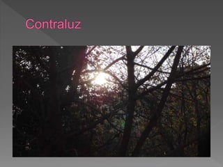 Planos fotográficos